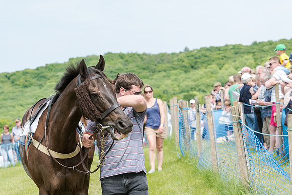 Berks and Bucks  (61 of 876)