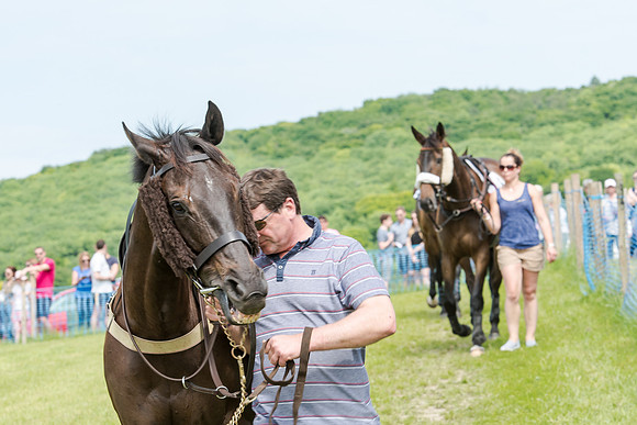 Berks and Bucks  (62 of 876)