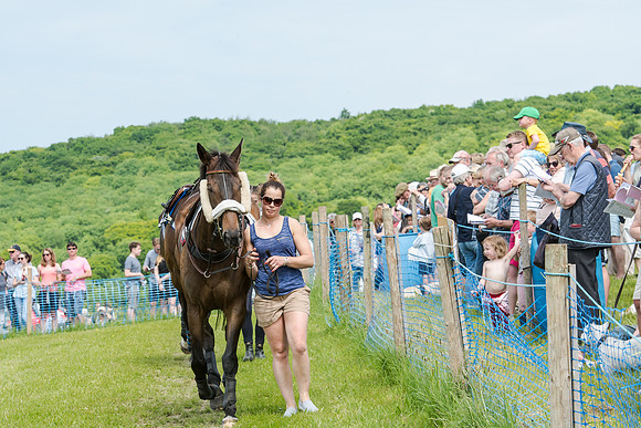 Berks and Bucks  (63 of 876)