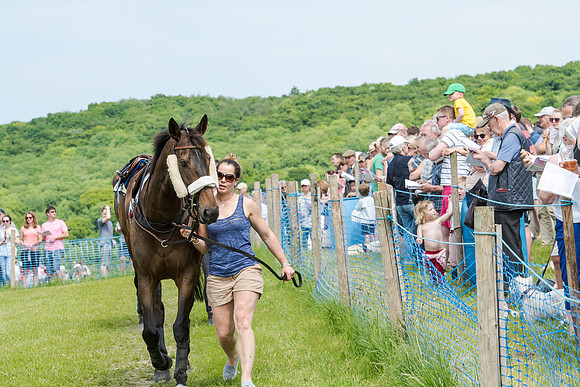Berks and Bucks  (64 of 876)