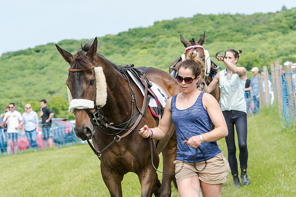 Berks and Bucks  (65 of 876)