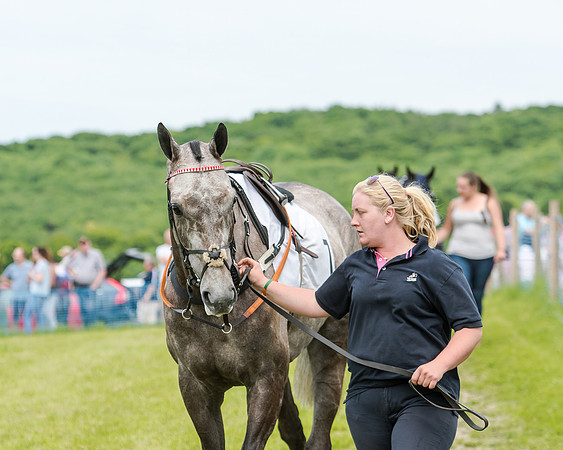 Berks and Bucks  (258 of 876)