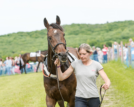 Berks and Bucks  (263 of 876)