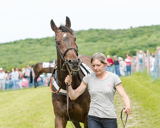 Berks and Bucks  (264 of 876)