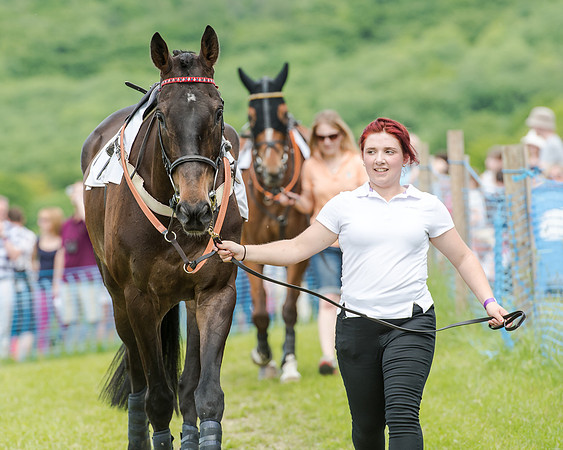 Berks and Bucks  (266 of 876)