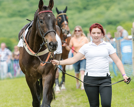 Berks and Bucks  (267 of 876)