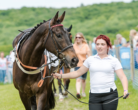 Berks and Bucks  (268 of 876)