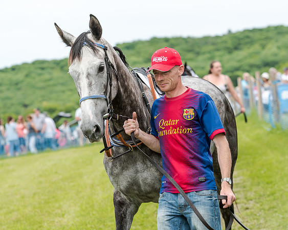Berks and Bucks  (279 of 876)