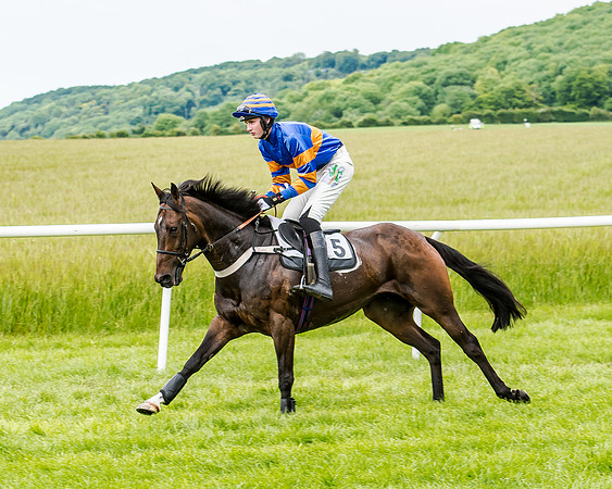 Dynamo Frankie - Jack Andrews