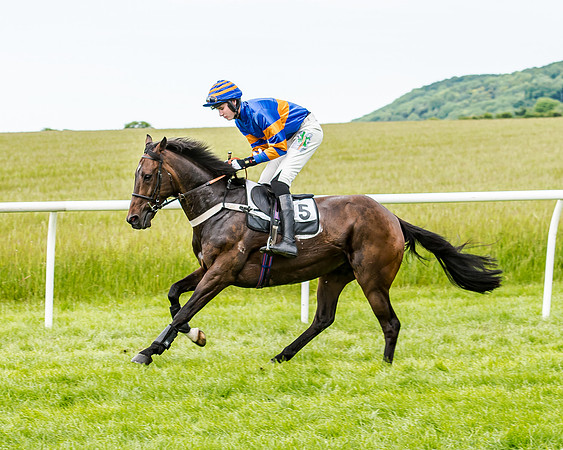 Berks and Bucks  (289 of 876)