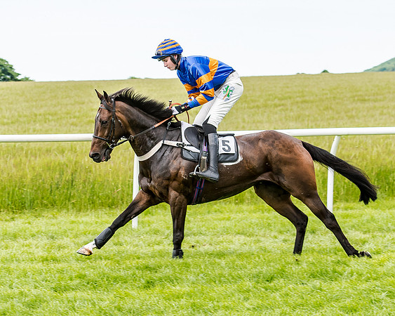 Dynamo Frankie - Jack Andrews