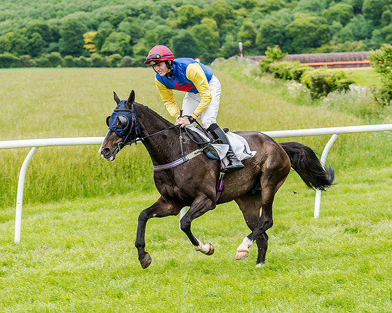 Berks and Bucks  (292 of 876)