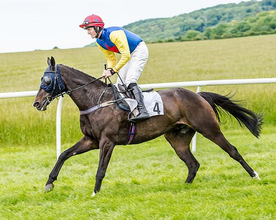 Berks and Bucks  (294 of 876)