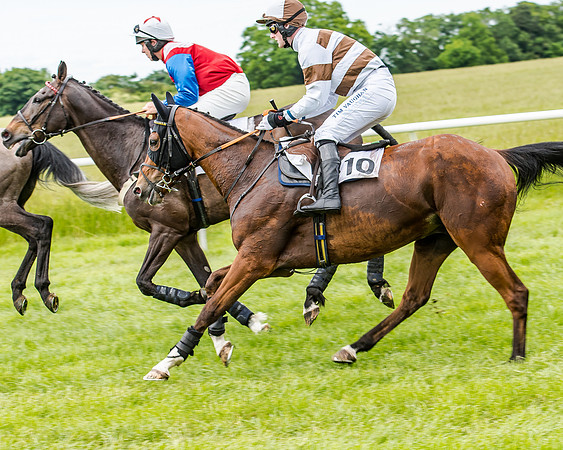 Berks and Bucks  (306 of 876)