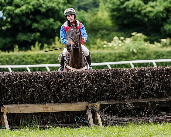 Berks and Bucks  (308 of 876)