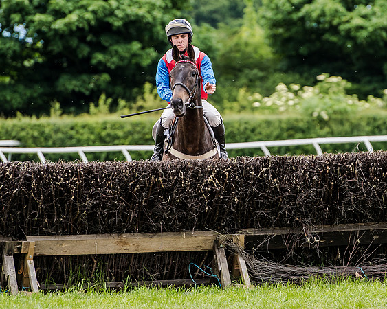 Berks and Bucks  (309 of 876)