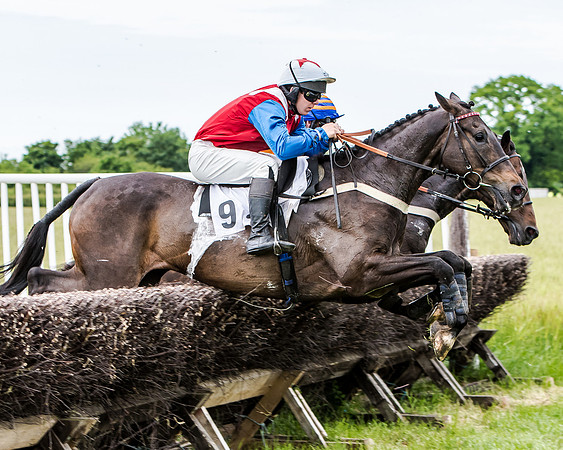 Berks and Bucks  (334 of 876)