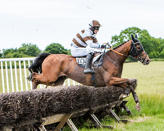 Berks and Bucks  (338 of 876)