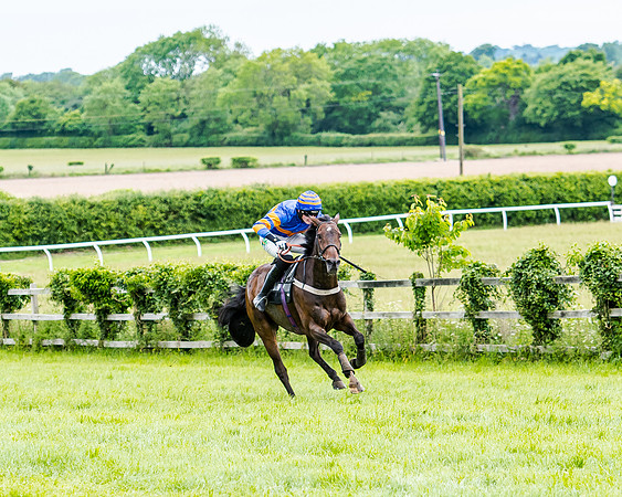 Dynamo Frankie - Jack Andrews