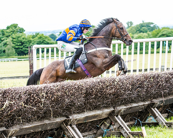 Dynamo Frankie - Jack Andrews