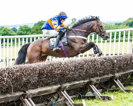 Dynamo Frankie - Jack Andrews