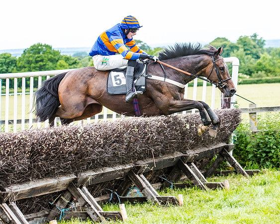 Dynamo Frankie - Jack Andrews