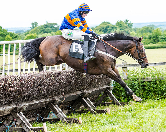 Dynamo Frankie - Jack Andrews