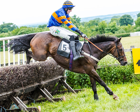 Dynamo Frankie - Jack Andrews