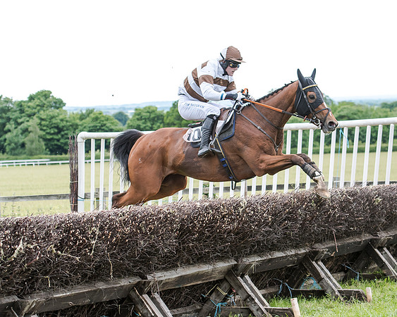 Berks and Bucks  (367 of 876)