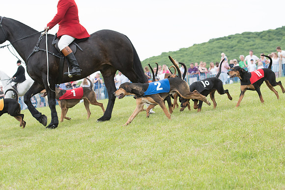 Berks and Bucks  (418 of 876)