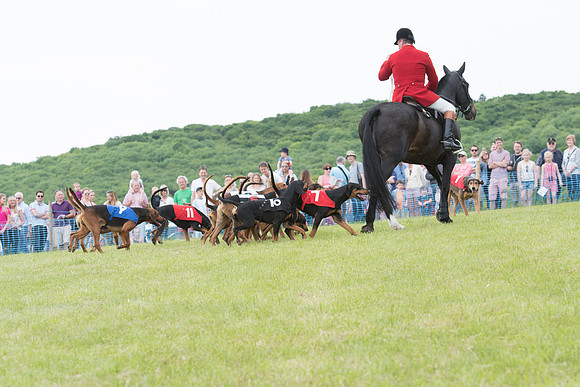 Berks and Bucks  (422 of 876)