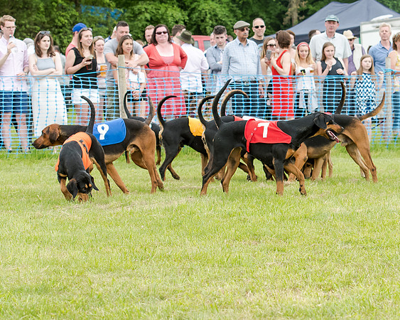 Berks and Bucks  (427 of 876)
