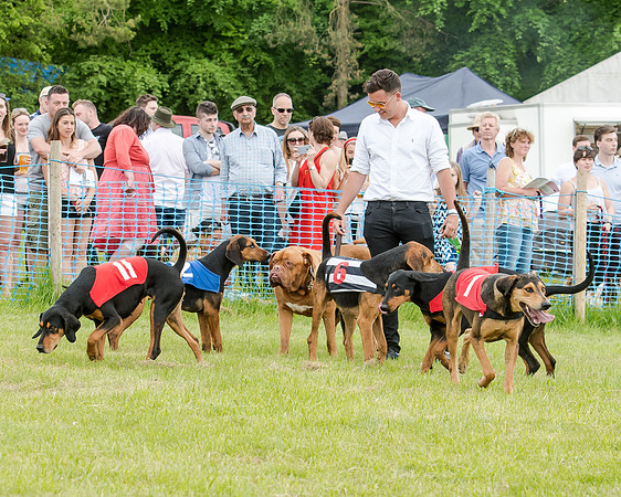 Berks and Bucks  (428 of 876)