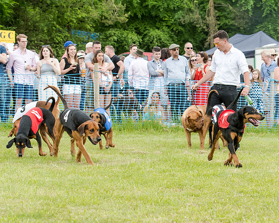 Berks and Bucks  (429 of 876)