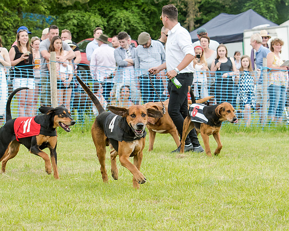 Berks and Bucks  (430 of 876)