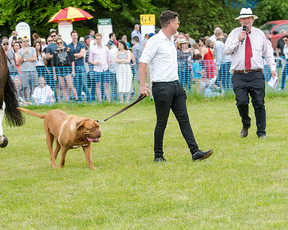 Berks and Bucks  (432 of 876)