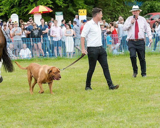Berks and Bucks  (433 of 876)