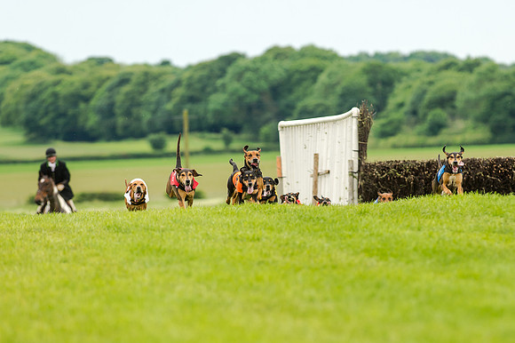 Berks and Bucks  (457 of 876)