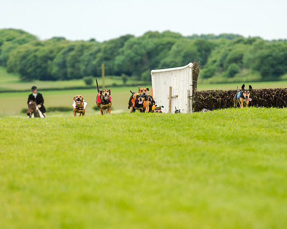 Berks and Bucks  (458 of 876)