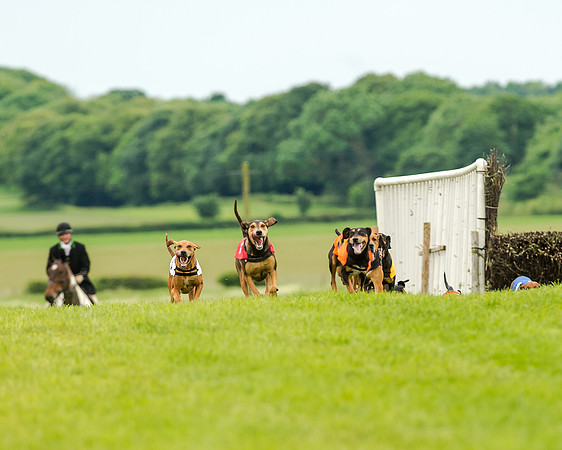 Berks and Bucks  (459 of 876)