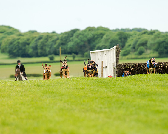 Berks and Bucks  (460 of 876)