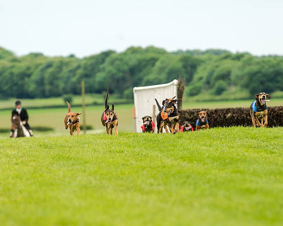 Berks and Bucks  (461 of 876)