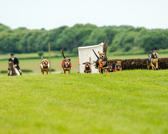Berks and Bucks  (462 of 876)