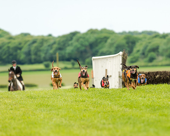 Razor winner of the Hound Race