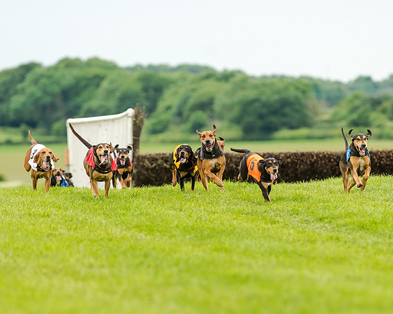 Berks and Bucks  (467 of 876)