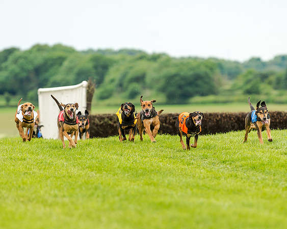 Berks and Bucks  (468 of 876)