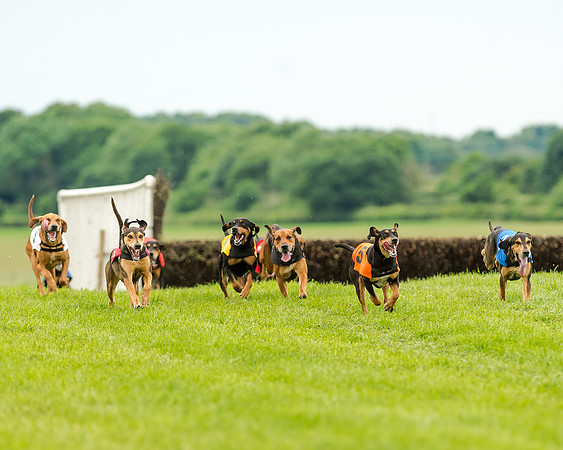 Berks and Bucks  (469 of 876)