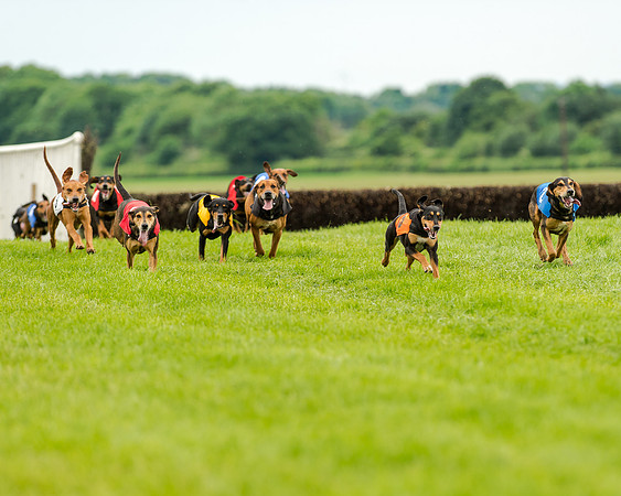 Berks and Bucks  (472 of 876)
