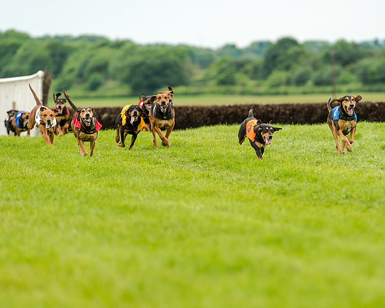 Berks and Bucks  (473 of 876)