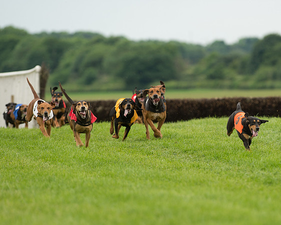 Berks and Bucks  (473 of 876)-2